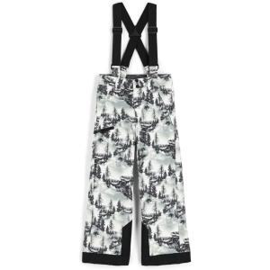 imageSpyder Boys Boys Propulsion Ski PantsTree Line