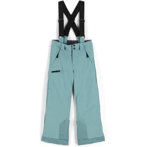 imageSpyder Boys Boys Propulsion Ski PantsTundra