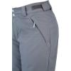 imageSpyder Active Sports Womens Section Insulated Ski PantsImage Grey
