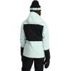 imageSpyder Womens Jagged GoreTex Shell Ski JacketWintergreen