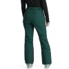 imageSpyder Womens Section Insulated Ski PantCypress Green