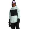 imageSpyder Womens Jagged GoreTex Shell Ski JacketWintergreen