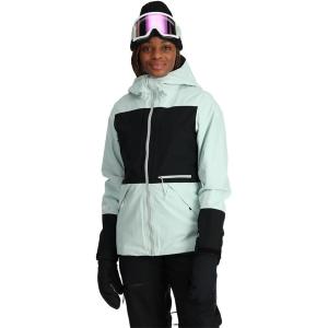 imageSpyder Womens Jagged GoreTex Shell Ski JacketWintergreen