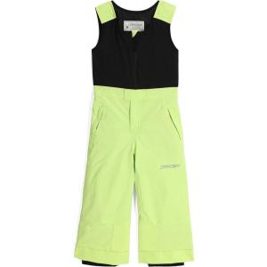 imageSpyder Boys Expedition Insulated Ski PantLime Ice