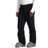 imageSpyder mens Mesa Insulated Ski Snow PantsBlack