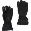 image:imageSpyder Active Sports Mens Overweb GORETEX Ski GloveBlack