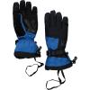 image:imageSpyder Active Sports Mens Overweb GORETEX Ski GloveOLD GLORY
