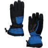 image:imageSpyder Active Sports Mens Overweb GORETEX Ski GloveOLD GLORY