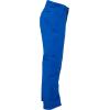 image:imageSpyder Active Sports Mens Mesa GORETEX Ski PantOld Glory