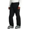 image:imageSpyder Mens Traction Insulated Ski PantBlack