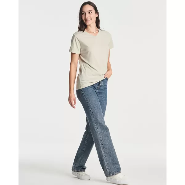 4 Pack Womens ClassicFit Cotton ShortSleeve VNeck TShirt Available in Plus SizeStandard Set 5