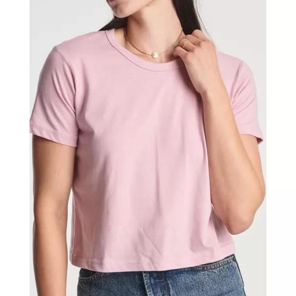 Real Essentials 4 Pack Womens Cotton Short Sleeve Crop Top  Cropped Casual Crew Neck TShirts Available in Plus SizeStandard Set 4