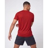 image:image5 Pack Mens Dry Fit Short Sleeve Crew T Shirts Gym Tees Athletic WorkoutSolid Black  Solid Bright White  Charcoal  Solid Poppy Red  Elemental Blue