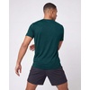 image:image5 Pack Mens Dry Fit Short Sleeve Crew T Shirts Gym Tees Athletic WorkoutSolid Black  Solid Bright White  Navy Blazer  Solid Deep Teal  Solid Dawn Blue