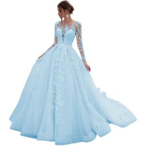 imageYoujiayi Princess Long Sleeve Wedding Dresses for Bride Long Lace Bridal Gown with Train Puffy Tulle Wedding Gowns for WomenSky Blue