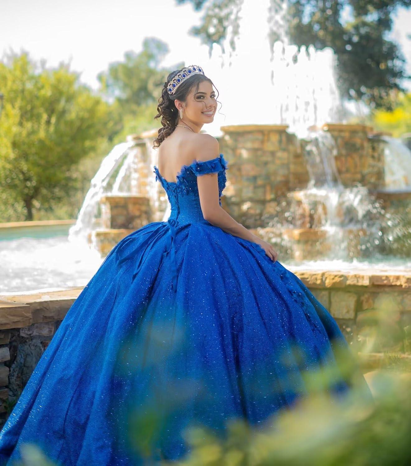 imageYoujiayi Womens 3D Floral Quinceanera Dresses Long Puffy Tulle Ball Gowns Off Shoulder Prom Dress YJY69Sky Blue