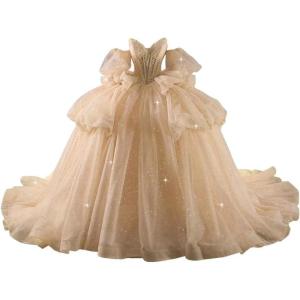 imageYoujiayi Lace Beaded Quinceanera Dresses with Sleeves Ruffle Tulle Sweet 16 Dress with Bow Layered Long Ball Gown for WomenChampagne