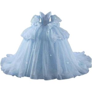 imageYoujiayi Lace Beaded Quinceanera Dresses with Sleeves Ruffle Tulle Sweet 16 Dress with Bow Layered Long Ball Gown for WomenLight Blue