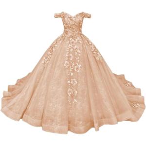 imageYoujiayi Princess Off Shoulder Quinceanera Dresses Puffy Tulle Sweet 16 Dress with Train Lace Beaded Long Ball Gown for WomenPeach