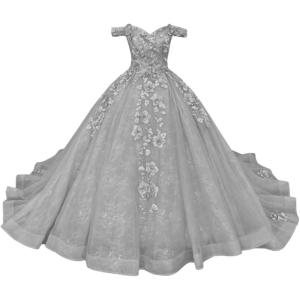imageYoujiayi Princess Off Shoulder Quinceanera Dresses Puffy Tulle Sweet 16 Dress with Train Lace Beaded Long Ball Gown for WomenSilver
