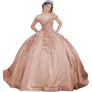 imageYoujiayi Womens 3D Floral Quinceanera Dresses Long Puffy Tulle Ball Gowns Off Shoulder Prom Dress YJY69Dusty Rose