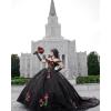 imageYoujiayi Sparkly Floral Quinceanera Dresses Puffy Lace Tulle Sweet 16 Dress with Train Off Shoulder Long Ball GownRust