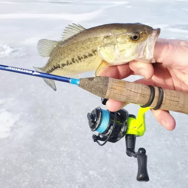 KastKing Royale Legend II Ice Spinning Reel  58 oz  Size 500 is Perfect for Ice Fishing Up to 11 Lbs Carbon Drag 511 Gear Ratio Sharkskin WaterWicking TPE Grips Extra Long Reel Foot Stem for GlovesA Green  511