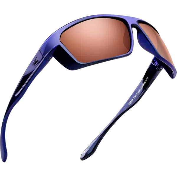 Frame: Gloss Glittered Royal Blue /Lens: Copper - Silver