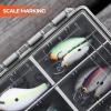 imageKastKing HyperSeal Waterproof Tackle Box 3600 and 3700 Tackle Trays Fishing Tackle Box Organizer with Removable Dividers Lure Box and Terminal Tackle StorageBlack36002 pack