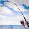 imageKastKing Kong Saltwater ampamp Freshwater Fishing Rod Powerful Lightweight SCurve Graphite Rod Blanks Nano Resin Technology StainlessSteel DoubleFoot Guides wTitanium Oxide Rings NonSlip HandlesA Spin 8Mh PowerFast2pcs