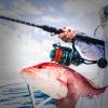 imageKastKing Kong Saltwater ampamp Freshwater Fishing Rod Powerful Lightweight SCurve Graphite Rod Blanks Nano Resin Technology StainlessSteel DoubleFoot Guides wTitanium Oxide Rings NonSlip HandlesA Spin 8M PowerFast2pcs