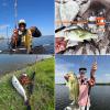 image:imageKastKing Lethal Blaze TwinTip Fishing Rods IM6 Graphite Blanks Casting amp Spinning Rods 2Piece Rod with Extra Tip PTS Power Transition System Ideal for Bass Freshwater amp Inshore FishingCast 74 H 2pcs  Extra Tip