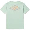 imageBillabong Mens Diamond Arch Premium Tee Soft Cotton Short Sleeve TShirt SXXLSeafoam