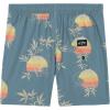 imageBillabong Boys Layback 4Way Stretch Swim Trunks with UPF 50 Sun Protection Quick Dry Bathing SuitBlue Good Times