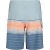 imageBillabong Boys Performance Stretch Pro Boardshorts with UPF 50 Sun ProtectionDusty Blue Stripe