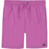 Fuschia All Day