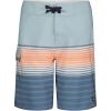 imageBillabong Boys Performance Stretch Pro Boardshorts with UPF 50 Sun ProtectionDusty Blue Stripe