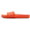 Bright Orange