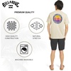image:imageBillabong Mens Regular Fit Premium Soft Cotton Tee Short Sleeve TShirtPale Khaki