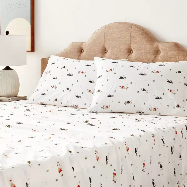 imageEddie Bauer  Full Sheets Cotton Percale Bedding Set Crisp amp Cool Home Decor Eddies Oar Blue FullQueen Cascade Camping WhiteGreenOrange