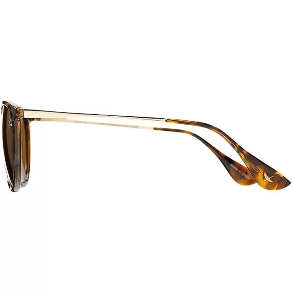 imageEddie Bauer Montlake Polarized SunglassesTortoise