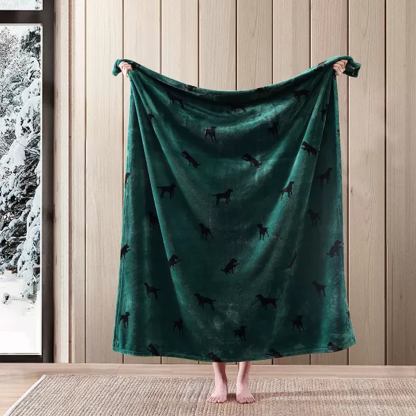 imageEddie Bauer Throw Blanket Ultra Soft Plush Home Dcor All Season Bedding Buddy The Dog Green 50 x 60Eddie Bauer Throw Blanket Ultra Soft Plush Home Dcor All Season Bedding Buddy The Dog Green 50 x 60