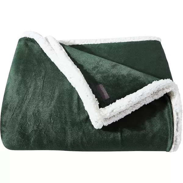 imageEddie Bauer Twin Blanket Ultra Soft amp Cozy Plush Home Dcor All Season Bedding Solid Tan TwinKing Green