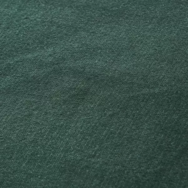 imageEddie Bauer Twin Blanket Ultra Soft amp Cozy Plush Home Dcor All Season Bedding Solid Tan TwinTwin Green