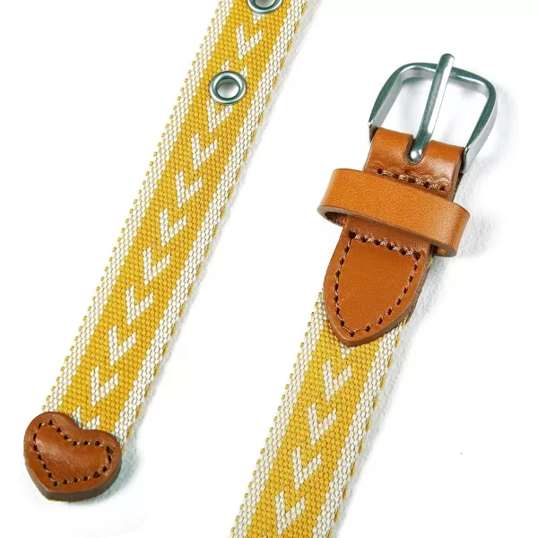 imageEddie Bauer Womens Cascade Grommet Webbing Belt with Metal BuckleDark Marigold