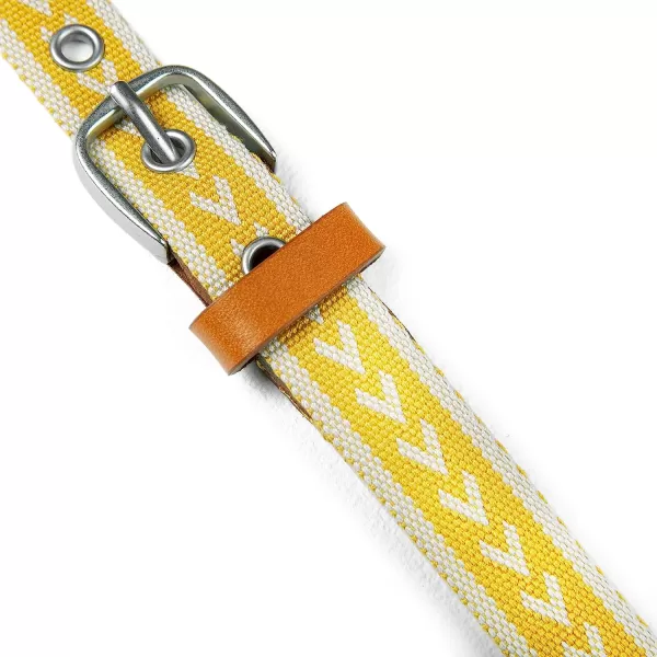 imageEddie Bauer Womens Cascade Grommet Webbing Belt with Metal BuckleDark Marigold