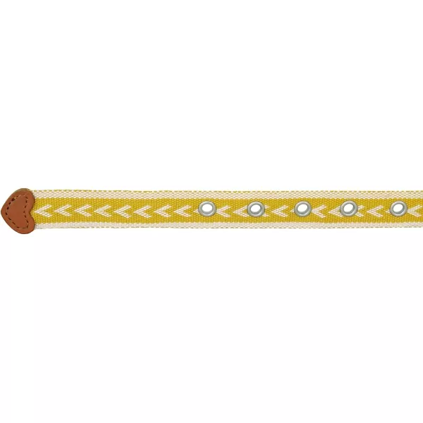 imageEddie Bauer Womens Cascade Grommet Webbing Belt with Metal BuckleDark Marigold