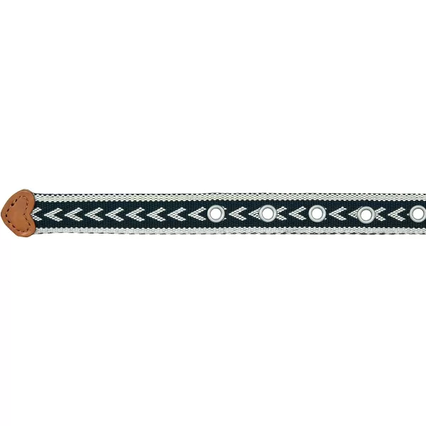 imageEddie Bauer Womens Cascade Grommet Webbing Belt with Metal BuckleNavy