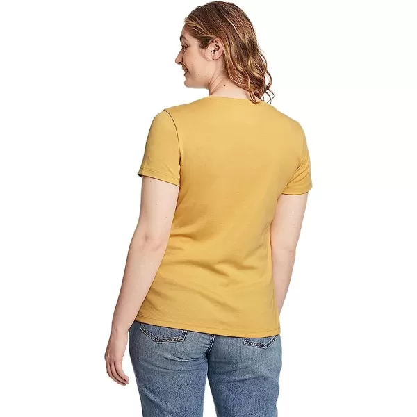 imageEddie Bauer Womens Favorite ShortSleeve VNeck TShirtPetite Topaz