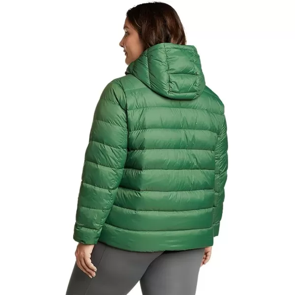 imageEddie Bauer Womens StratusTherm Hooded Down JacketPlus Irish Green